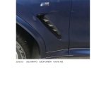 Ornament lateral priza aer BMW X3 G01 (2018–2023) – finisaj Carbon, ABS